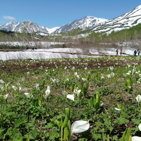 Anri Villa Hakuba Kültér fotó