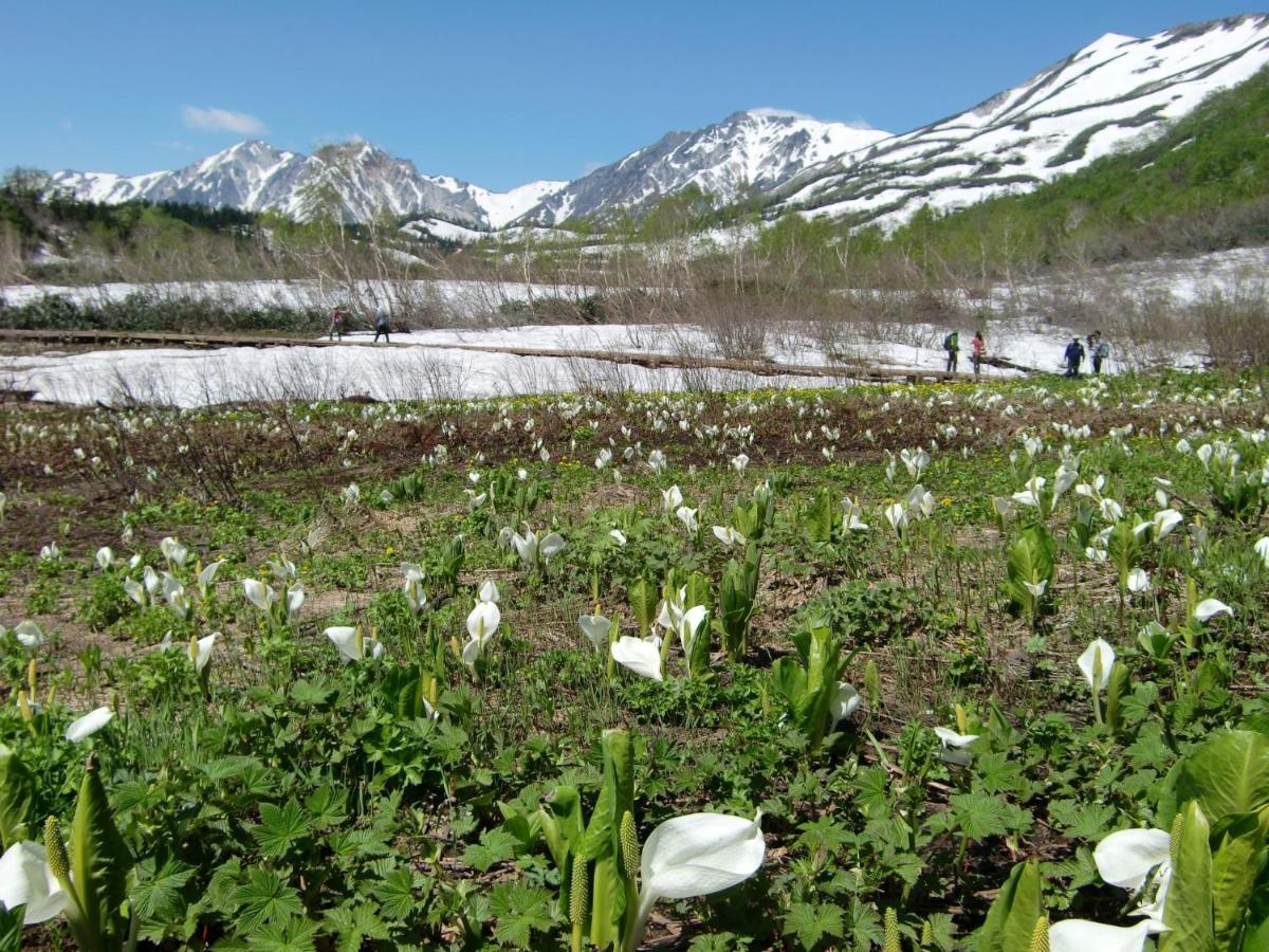 Anri Villa Hakuba Kültér fotó